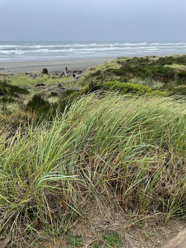 Westport Beach